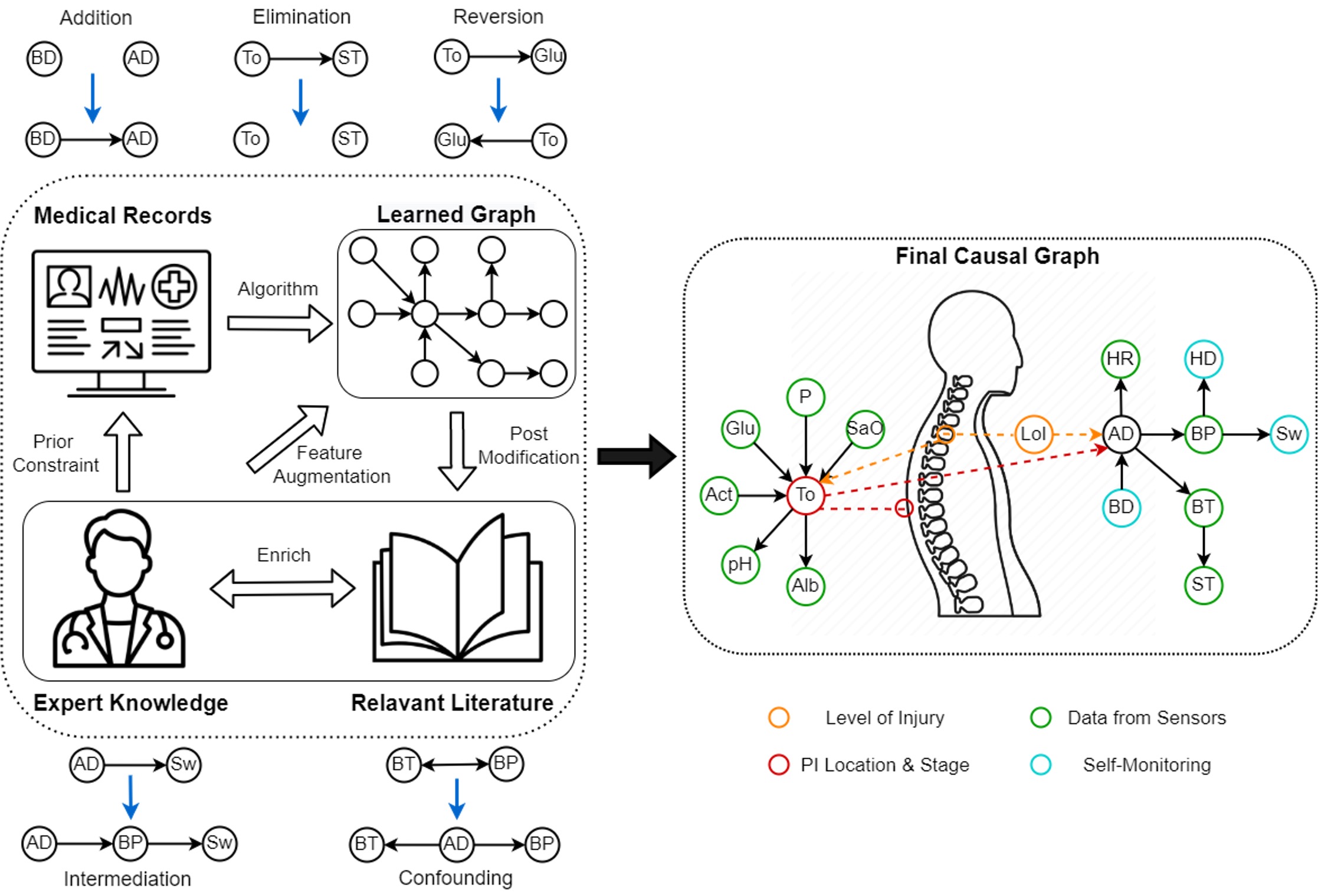 Enlarged view: Pipeline for causal discovery and inference 